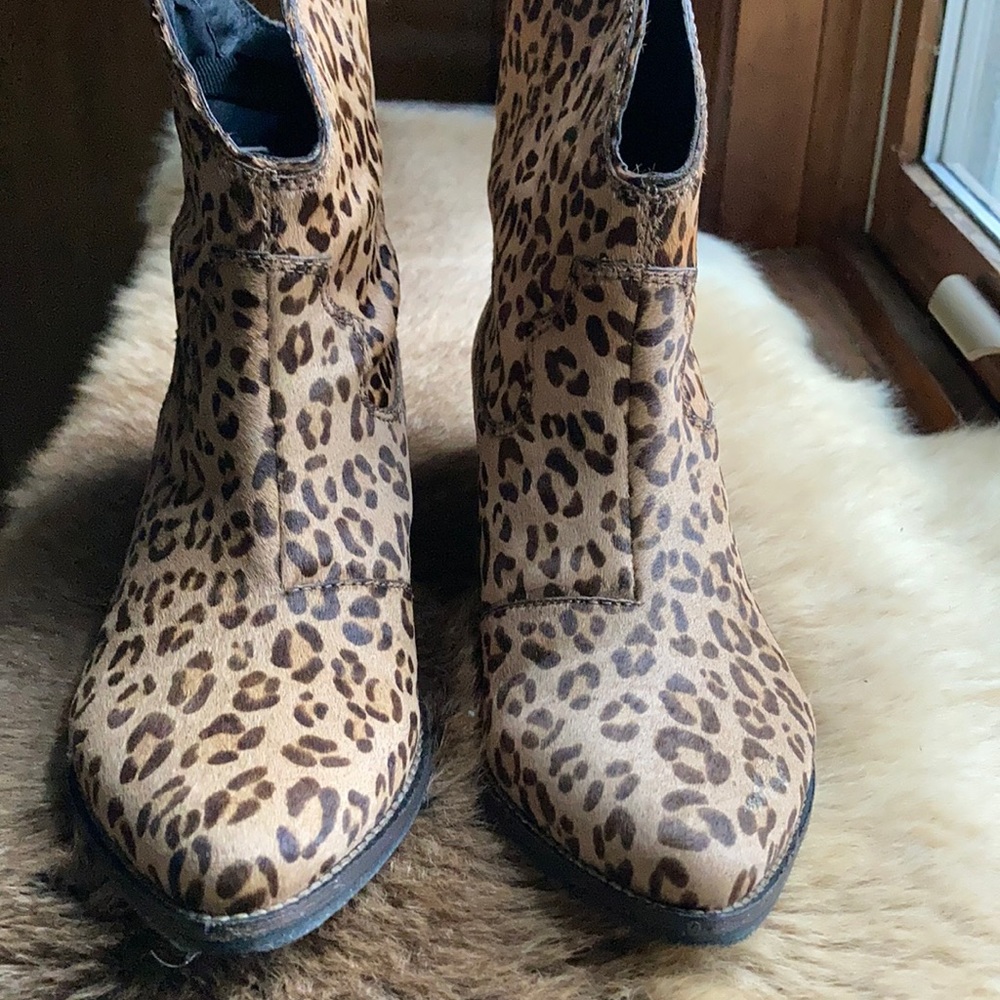 Cheetah Print Ankle boots - Picture 1 of 4